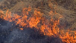 Площадь лесных пожаров в Приморье за сутки увеличилась почти вдвое