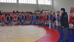 Турнир по греко-римской борьбе стартовал в Уссурийске