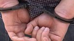 Полицейские Уссурийска задержали подозреваемого в краже металлоконструкций