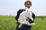 Государство говорит о важности научных работ, а на деле наоборот - селекционер Уссурийска