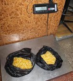 48 килограммов янтаря и опала пытались вывезти в Китай из Уссурийска