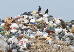Две крупные мусорные свалки обнаружены на территории Уссурийского городского округа