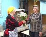 Букет ромашек любимой жене в день ромашек