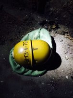 В Уссурийске проводится проверка по факту обнаружения боеприпаса