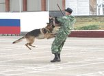День призывника состоялся в гарнизоне Уссурийска