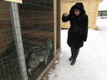 Местом паломничества приморцев в праздники стал мини-зоопарк в Уссурийске