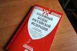 Полицейские пресекли попытку передачи наркотиков в исправительное учреждение в Уссурийске