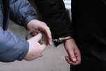 Полицейские задержании подозреваемых в серии краж из частных домов в Уссурийске