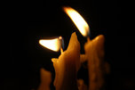 7 апреля в Приморье объявят Днем траура по погибшим в крушении траулера 