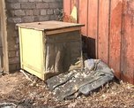 Апрель уж близится, а весна про Приморье не вспоминает