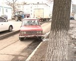 Апрель уж близится, а весна про Приморье не вспоминает