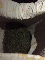 Полицейские в с. Новоникольск изъяли крупную партию наркотических средств 