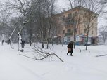 Уссурийск накрыло снегом