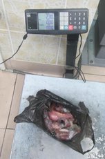 Уссурийская таможня задержала дериваты животных