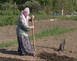 Мошке летать осталось не больше двух недель