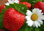 Июнь в Уссурийске синоптики обещают дождливым и нежарким