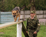 Уссурийские кинологи и их питомцы признаны лучшими в крае