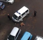 Во дворе в Уссурийске нашли голую женщину