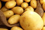 Аграрии округа заканчивают посадку картофеля