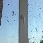 В Уссурийске пошел дождь из гудрона
