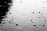 Сильный дождь не вызвал аварий и подтоплений в Уссурийске