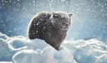 Снегопад и метель начнётся в пятницу в Приморье