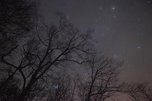Звездопад на уссурийском небе