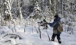 Под Уссурийском нашли тела трех охотников