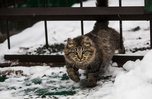 Сильные морозы ожидаются в Приморье