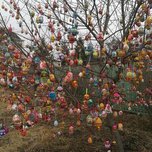 В Уссурийске 