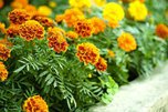 Семь дворов благоустроят в Уссурийске сверх плана