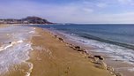 Почти 80 пляжей откроют для купания в Приморье в 2018 году
