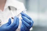 В Уссурийске проводится вакцинация животных против ящура