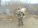 Все кладбища Уссурийского городского округа будут обработаны от клещей