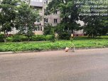 На покос травы в Уссурийске ежедневно выходят около 60 рабочих