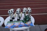 В Уссурийске завершился 5-й юбилейный турнир по футболу на кубок главы администрации