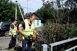 В Уссурийске вдоль улицы Ленина началась обрезка деревьев