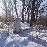 «Без слез не взглянешь»: что стало с популярным местом отдыха в Приморье
