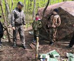 В Приморском крае детей, найденных в лесу, доставили в больницу