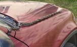 Беременная змея облюбовала автомобиль в Приморье