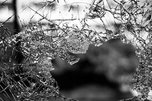 «Это беда»: очевидцы пишут о жительнице Уссурийска, которая убила ребёнка