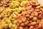 Около 60 тысяч тонн картофеля собрали в Приморском крае