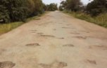 В Уссурийске найдены «следы динозавра» на одной из дорог