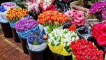 Фестиваль цветов пройдет в Уссурийске