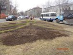 Уссурийск готовится к цветению тюльпанов