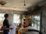 В Приморском крае полицейские изъяли у местного жителя запрещенные растения