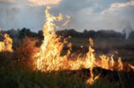 В Уссурийске ведется контроль за соблюдением правил благоустройства
