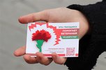 «Красная гвоздика» как символ памяти: в Уссурийске проходит Всероссийская акция