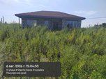В Уссурийске составлено 59 протоколов за несвоевременный покос травы