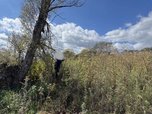 В Пограничном округе задержан житель Уссурийска, у которого полицейские изъяли более 9 кг марихуаны